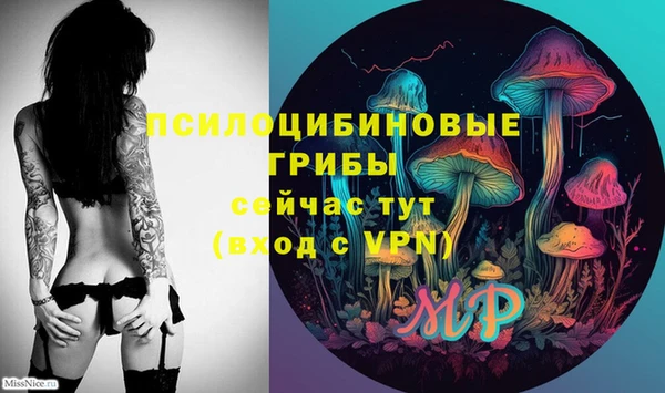 эйфоретик Новокубанск