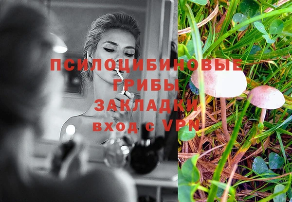 тгк Ахтубинск
