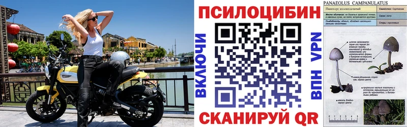 сколько стоит Артёмовск Галлюциногенные грибы мухоморы